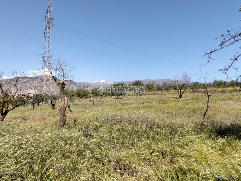 Foto ba56101d-6d84-4690-a83f-4de9f23bc010. Finca rústica terrenos en venta en Dúrcal