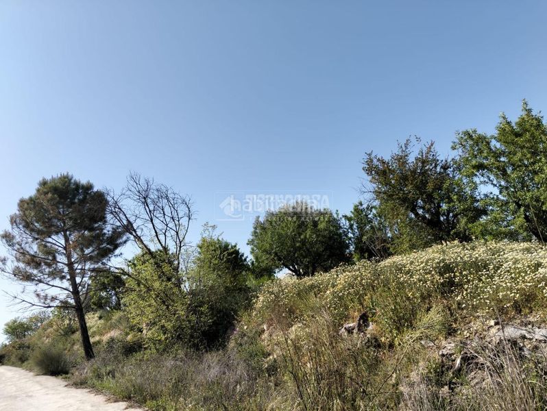 Foto 0870198d-69f8-4cca-8dd2-fa559b32921f. Finca rústica a Dúrcal