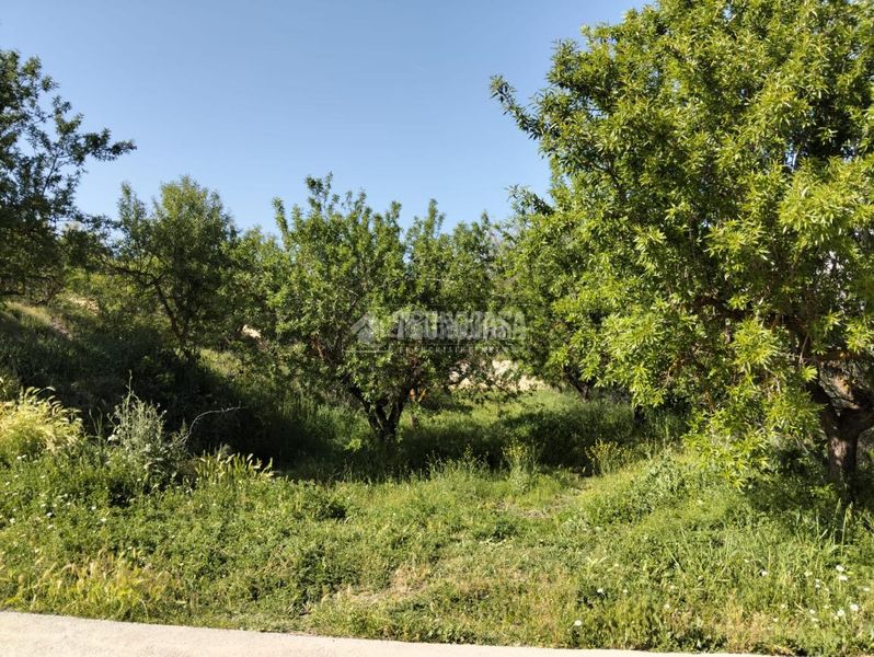 Foto 0ff05f9d-df21-4748-8789-19561b4cf2a9. Finca rústica a Dúrcal