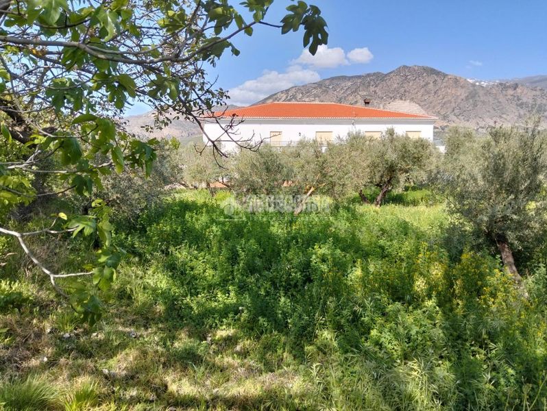 Foto 1df9e3a5-1a19-4625-bf11-b7ba86f67b63. Finca rústica a Dúrcal