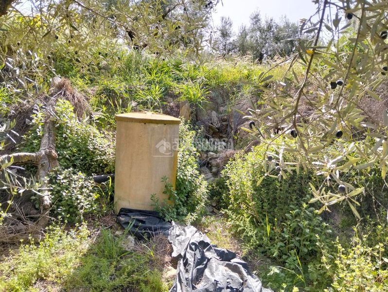 Foto 251ae849-7d2e-4387-b884-ecac8ae88c4a. Finca rústica a Dúrcal