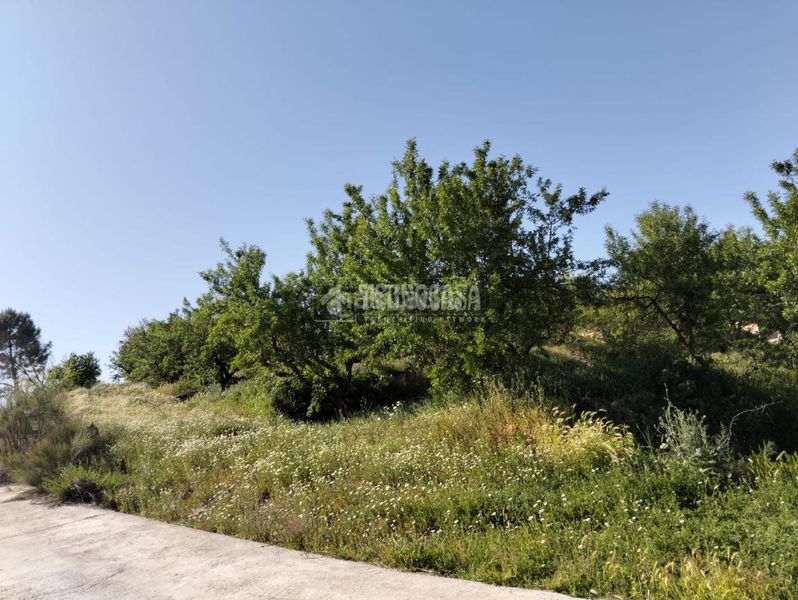 Foto 3882a6ce-fd62-4ab0-8c19-69067cc67f26. Finca rústica a Dúrcal