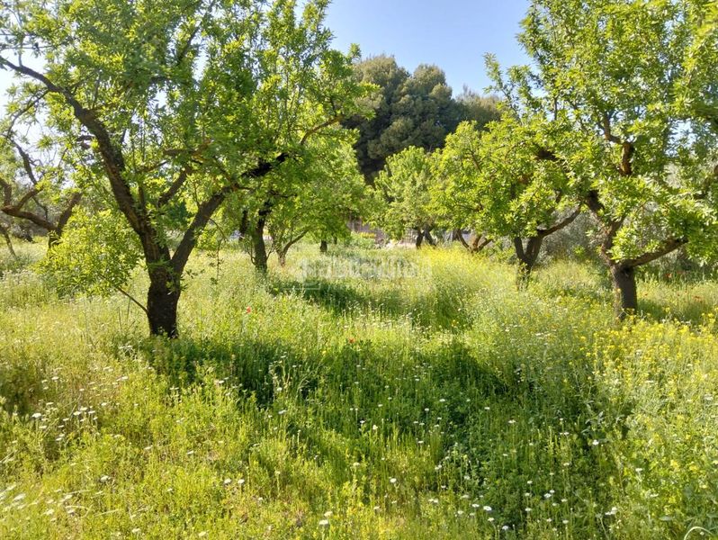 Foto 3d1d339d-22c3-441e-803c-e0a6c166d042. Finca rústica a Dúrcal