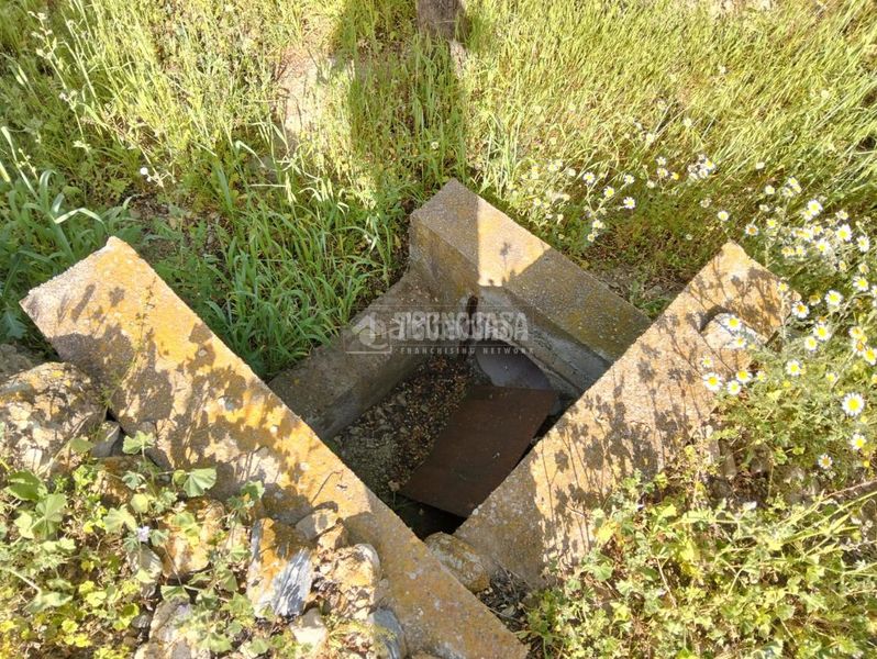 Foto 3f1cf775-9d88-4aea-84c7-4829166c67fc. Finca rústica a Dúrcal