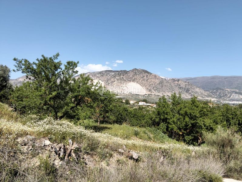 Foto 4f9e8dde-bb61-46c5-9948-b73592784aed. Finca rústica a Dúrcal