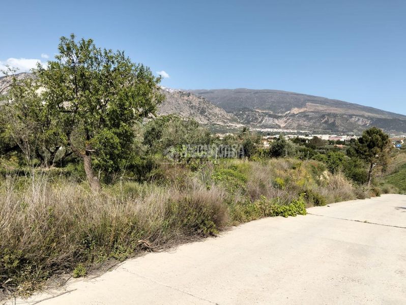 Foto 65a1c386-b4a7-4c96-b519-31eec6b823f0. Finca rústica a Dúrcal