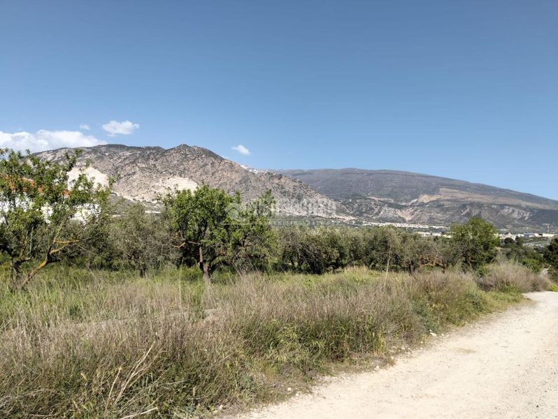 Foto a8ca2b6b-12d8-4065-8028-7e6168b7b487. Finca rústica a Dúrcal