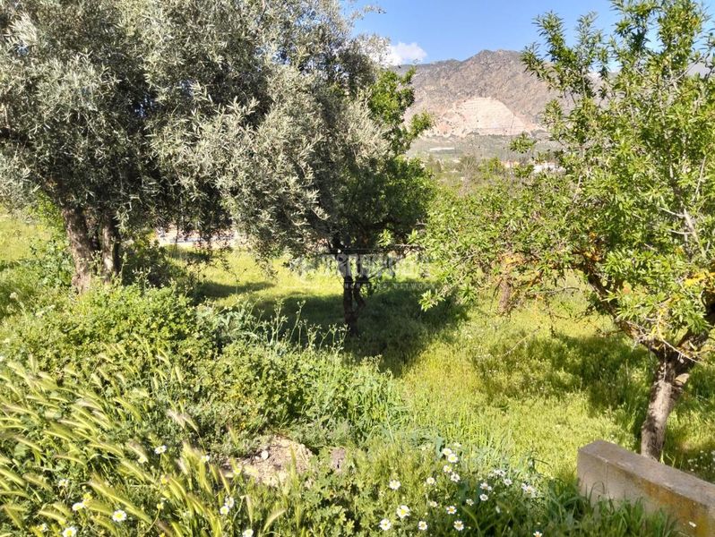 Foto d4e82603-dbe4-4356-8ea9-1eb645a45990. Finca rústica a Dúrcal