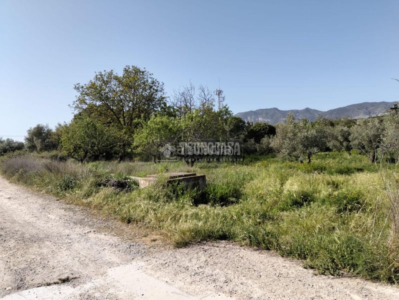 Foto d508c376-02fe-4049-8b1c-085091b089bb. Finca rústica a Dúrcal