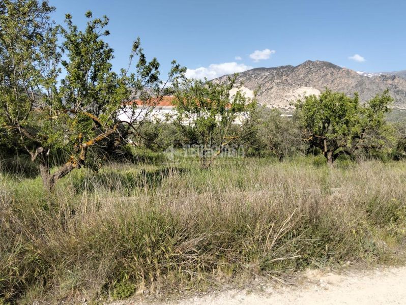 Foto d5774e33-67fc-4f57-9cf1-6266ceefb6cb. Finca rústica a Dúrcal