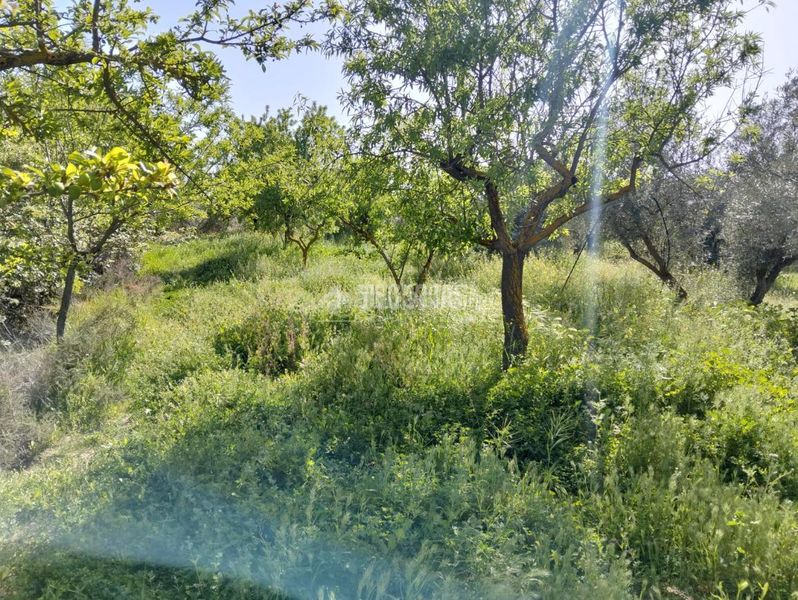 Foto e099a764-13df-47d3-8219-cc6de878bf42. Finca rústica a Dúrcal