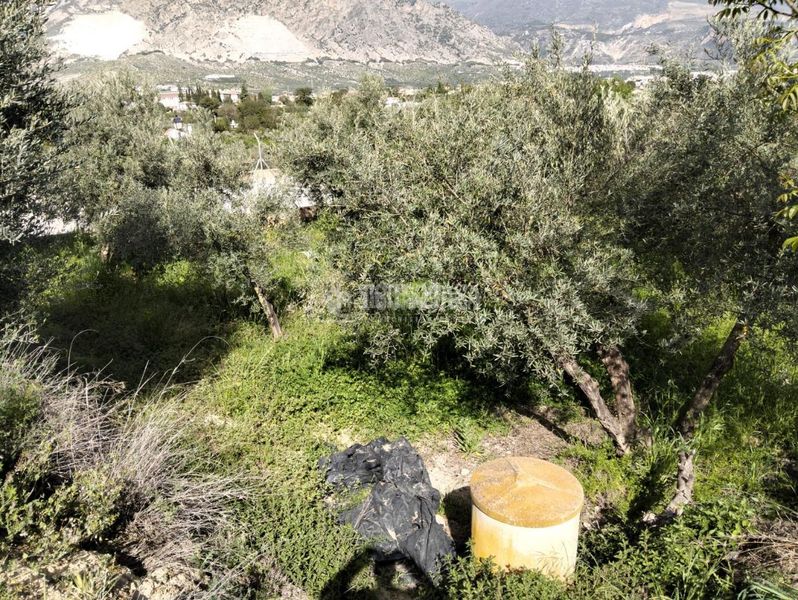 Foto e8703573-80d0-4d82-891a-b557d1b08dc1. Finca rústica a Dúrcal