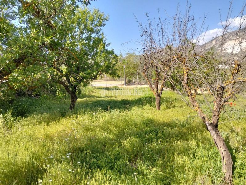 Foto e897cbe5-b241-4056-93d1-7067e289bb7a. Finca rústica a Dúrcal