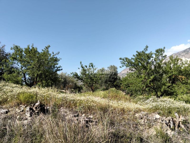 Foto f1c9f6c4-1203-4c7d-9a01-f462bf520c12. Finca rústica a Dúrcal