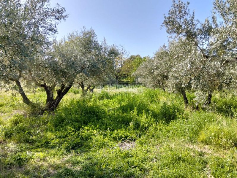 Foto f5158d9b-cfc7-4440-83d5-98911b753ffb. Finca rústica a Dúrcal