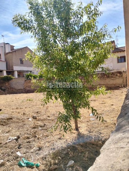Foto be71c8b4-4ebc-4f37-b8aa-004a719a4e33. Terreny residencial a Dúrcal