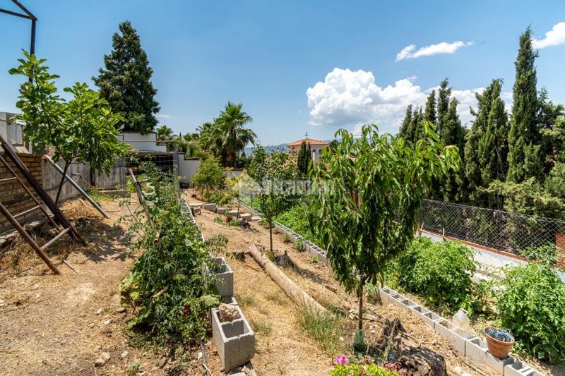 Foto a7c99518-972e-46cb-830e-7a206787d876. Pis amb aparcament a Padul