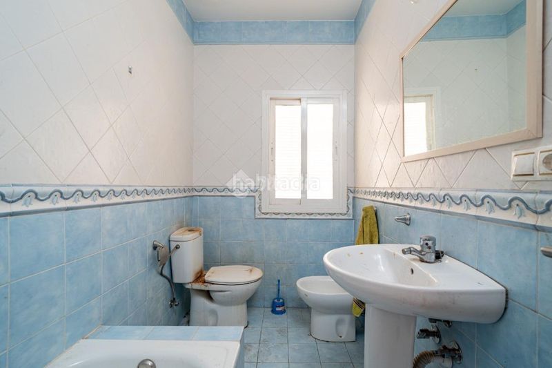 Foto b69cefaf-b263-4de0-904a-d314910e49f0. Pis a Padul