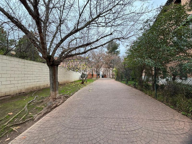 Foto bcedf1ba-3b58-4a9f-b20b-f67ae6c0a8cd. Pis a Casco Histórico Alcalá de Henares