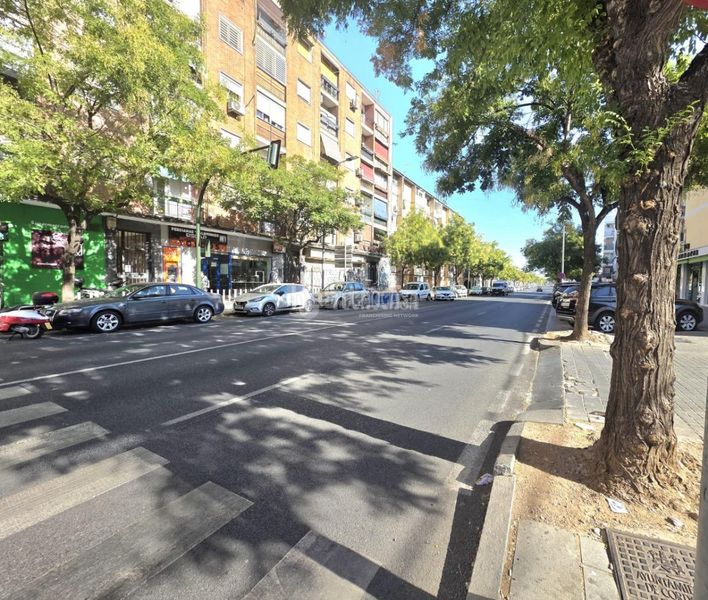 Foto b8fad928-89c1-4be0-a122-07db7f4efe5f. Pis a Sector Sur Córdoba