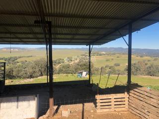 Finca rústica a Almodóvar del Río. Terrenos en venta en cordoba