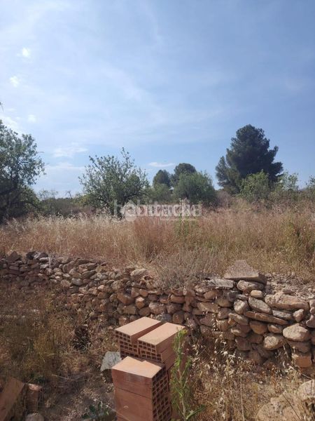 Foto 8193b841-d035-456d-bd2b-a565aca2dfb0. Masia a Gallardos (Los)