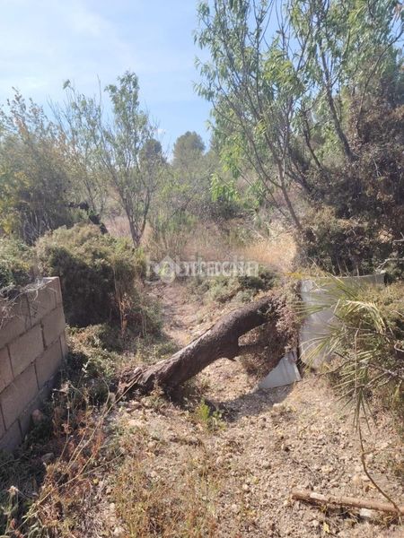 Foto d8e1a66e-68a7-4421-84c1-c50ce7c318b7. Masia a Gallardos (Los)
