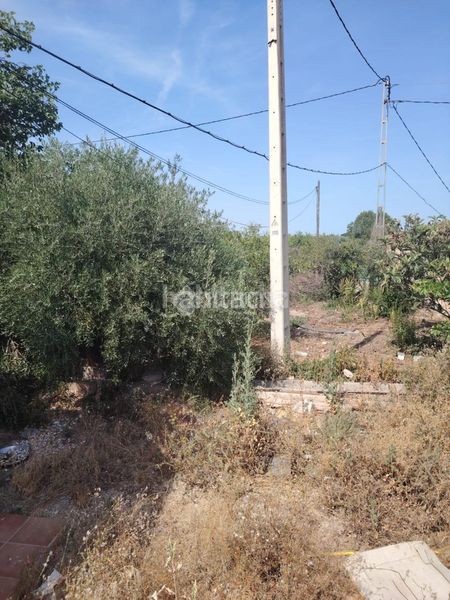 Foto f1a1442c-264b-4ebd-a4a7-ea2b40b00fab. Masia a Gallardos (Los)