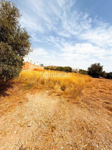 Foto 6df0adbe-ac65-4853-b43c-653d812a9981. Finca rústica a Turre