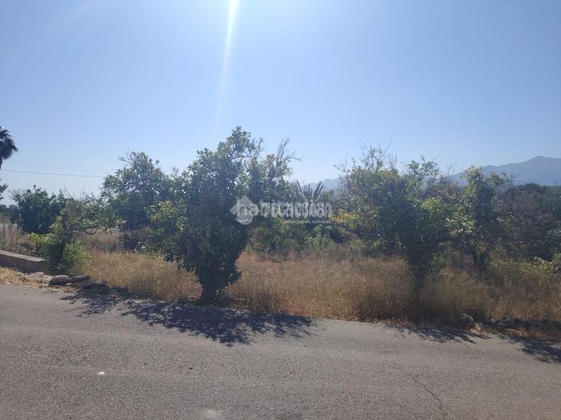 Foto 1d00ee3b-5d70-4724-81f1-7b415a095d5e. Masia a Gallardos (Los)