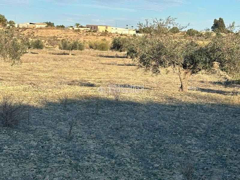Foto 04d2536d-4697-4fff-ad4e-ceb68e51d838. Finca rústica terrenos en venta en Turre
