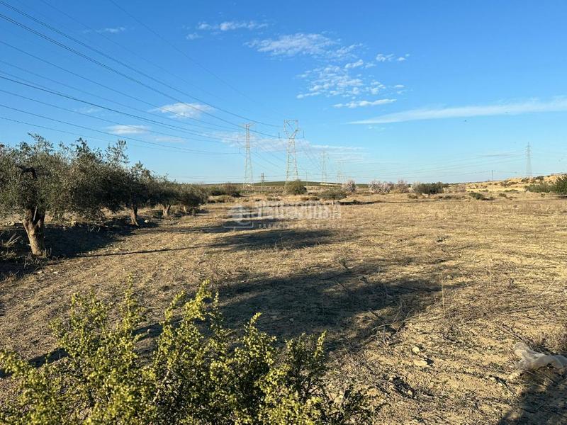 Foto 240fa9f0-f498-4603-9b07-65e1795871d9. Finca rústica terrenos en venta en Turre