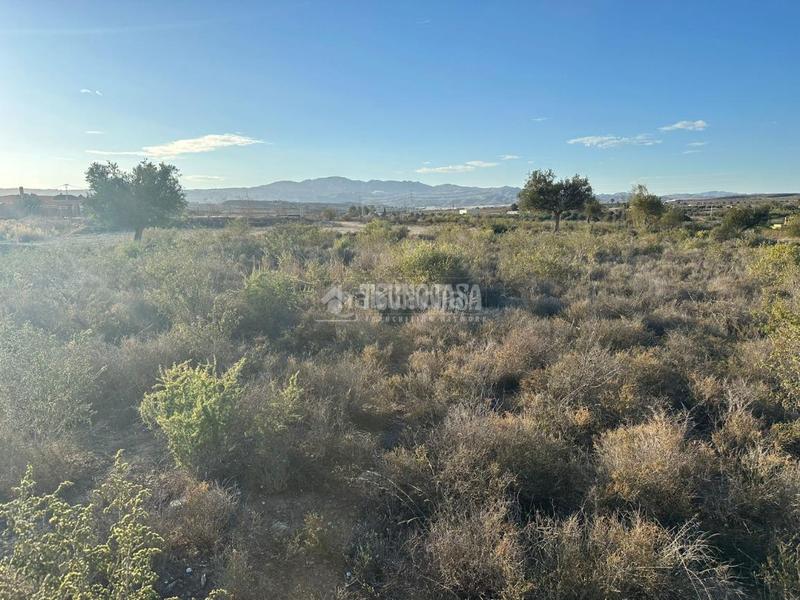Foto 429d5483-31c8-444f-bac8-4318604035e8. Finca rústica terrenos en venta en Turre