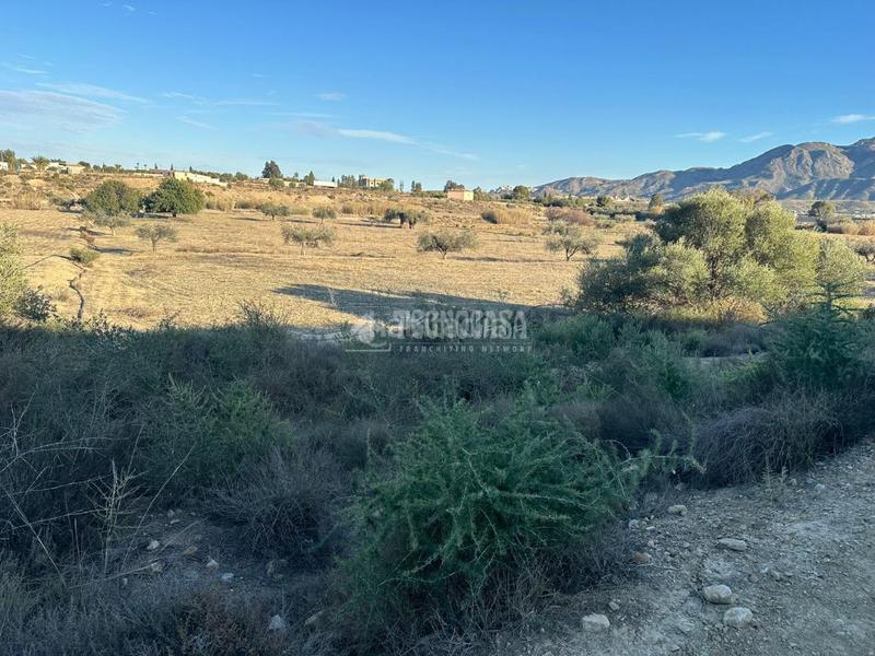 Foto 4307a0bc-002a-4e55-b622-15f30fb5eea5. Finca rústica terrenos en venta en Turre