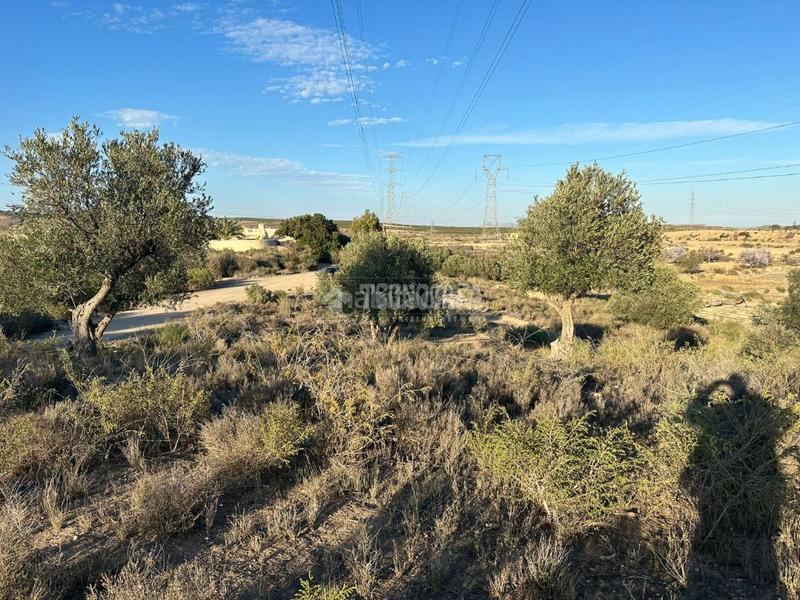 Foto 4ce90e5b-7c85-49b0-ae9b-614f679fced0. Finca rústica terrenos en venta en Turre