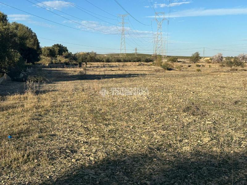 Foto 5d1041d6-a1f9-45b7-a9f0-e043e358b44b. Finca rústica terrenos en venta en Turre