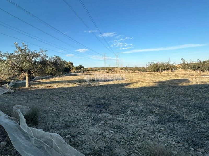 Foto 7b851c31-c42e-4413-8d66-26515eb68c7a. Finca rústica terrenos en venta en Turre