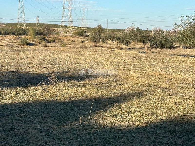 Foto b33823e2-79d6-4b54-97fa-fc0ac3cf5108. Finca rústica terrenos en venta en Turre