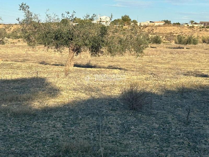 Foto b61cf596-0f48-47c7-a74c-362bfa7c4225. Finca rústica terrenos en venta en Turre