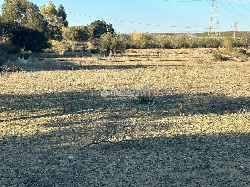 Foto be0ec755-77c0-4952-9155-883ae29e5bbd. Finca rústica terrenos en venta en Turre