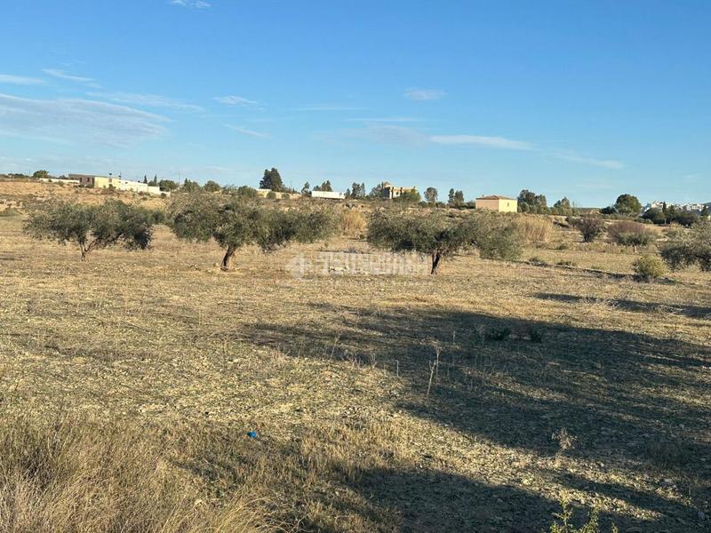 Foto c88ba1e9-8970-429e-88e5-230a3a1f15cf. Finca rústica terrenos en venta en Turre