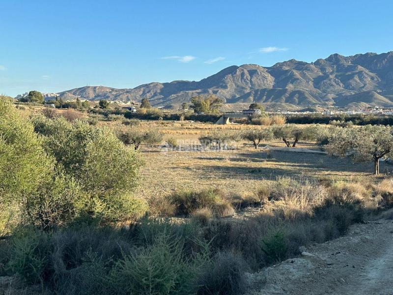 Foto cc2c6f23-45b4-44d3-ab79-46fe0d55ba8e. Finca rústica terrenos en venta en Turre