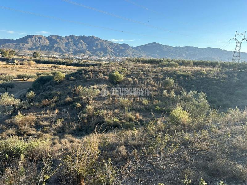 Foto e754279a-807f-4666-a8c9-876f7edc6b62. Finca rústica terrenos en venta en Turre