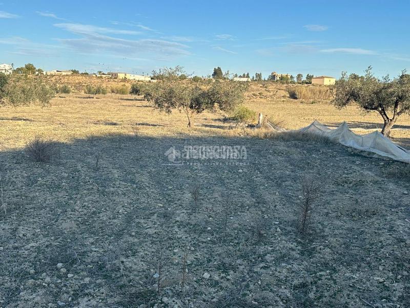 Foto fb170985-59c2-4473-8b57-b2a2bf0daadc. Finca rústica terrenos en venta en Turre