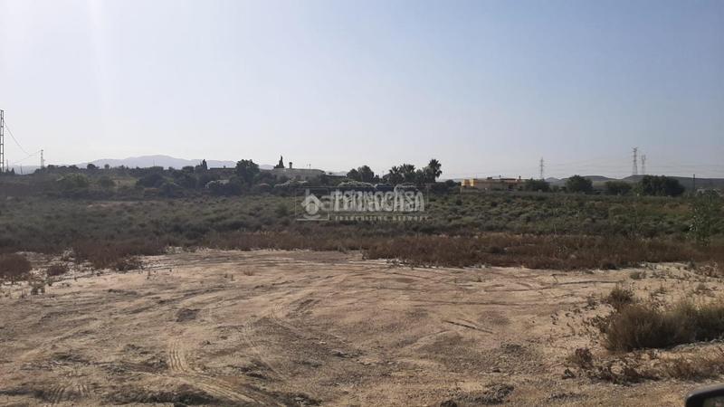 Foto 5ccfd269-f196-4d69-8b58-d5f31c32dcd8. Fondo rustico in Turre