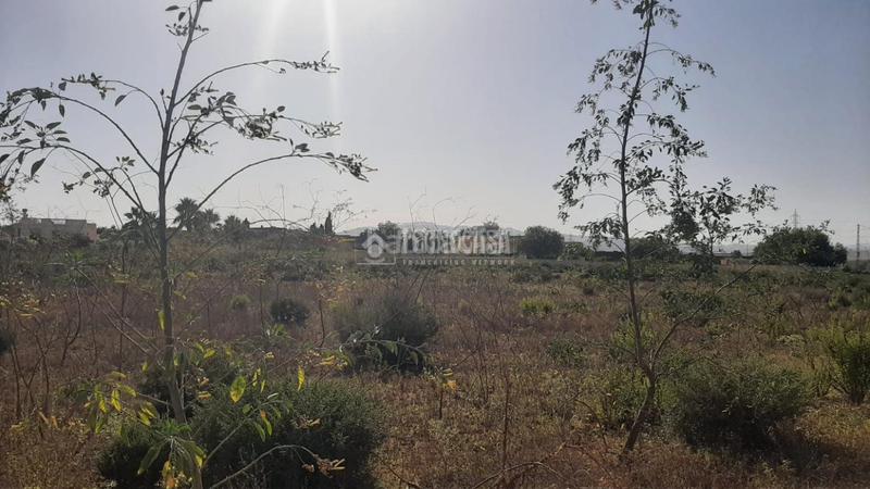 Foto 667a69ec-0eda-4333-9139-2fa8a1d5fc9c. Fondo rustico in Turre