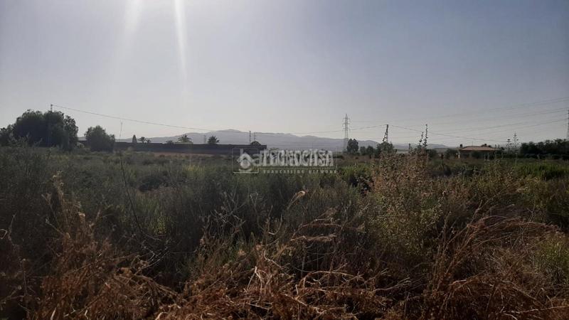 Foto 97acd120-0ed6-401a-aef2-2bc7c84d1bba. Fondo rustico in Turre