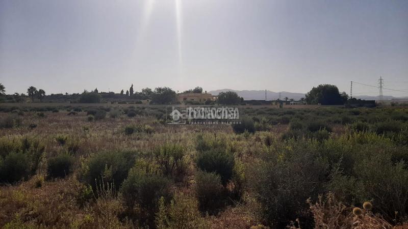 Foto bc0e1cf7-2fb4-40f8-b234-05cb1085438b. Fondo rustico in Turre