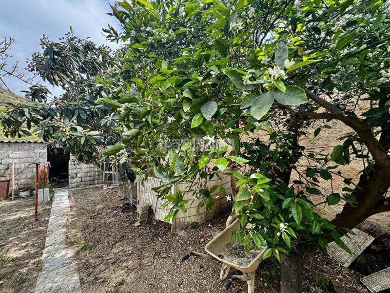 Foto 8dad40ca-e8f4-44f6-8b62-d18af40c190d. Area edificabile industriale in Turre