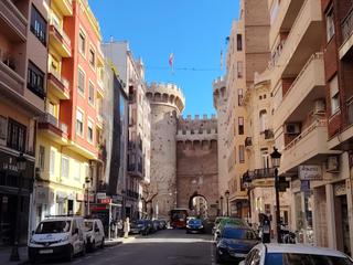 Business premise in El Botànic